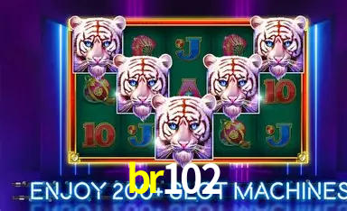br102